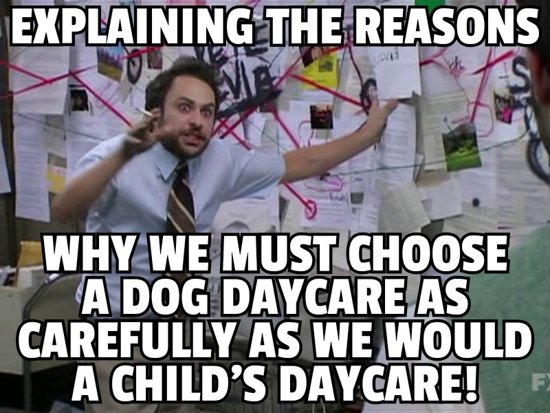 leftchurchcult's tweet image. Dogs are labeled as "babies" by many owners so why not research the details of daycares including introducing the "baby" to the daycare before enrollment? Also, what are the qualifications of the staff if any? 

#dogs #dogdaycare #dogreactivity #dogbehavior  #commonsense