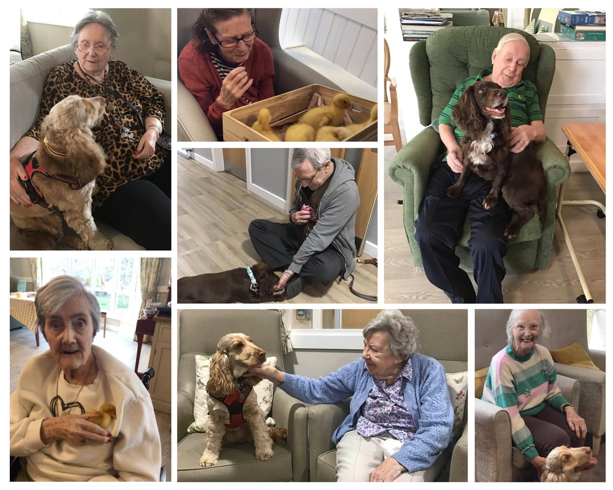 🐾 Our care homes celebrated #NationalPetDay with adorable visitors! From duck-themed fun to cuddles with Rosie & therapy dog Clemmie, these furry friends boost social interaction among residents. Pet therapy uplifts spirits & enhances well-being. 🐶 #PetTherapy #FurryFriends