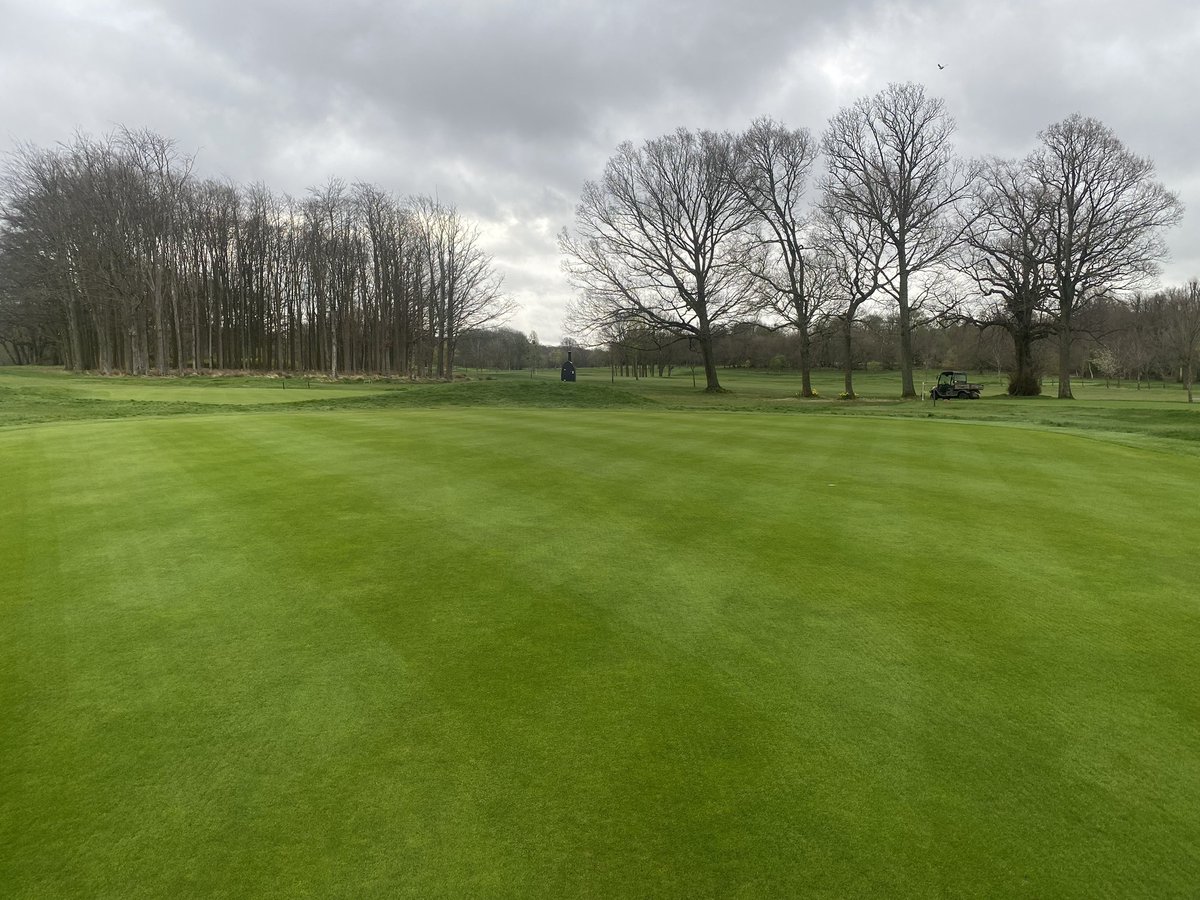 Fraser Chisholm tweet media