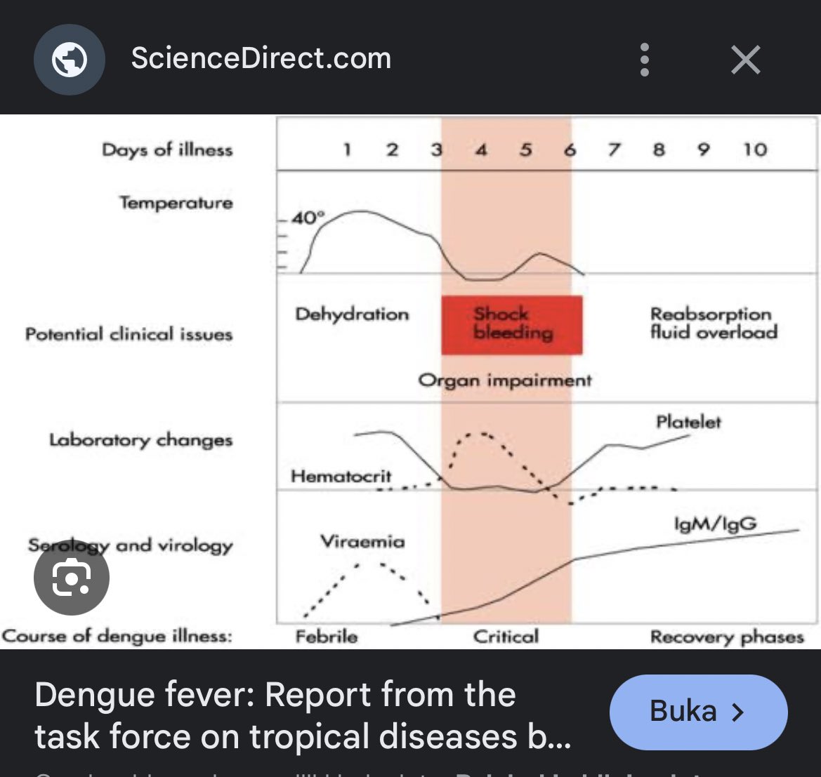 jwiisungparkk's tweet photo. @tanyarlfes DBD ituu obatnya cuma cairan aja dibanyakin nder. Trombosit turun itu emang perjalanan penyakitnya. Normalnya dia balik lagi pas udh seminggu, naik perlahan. Kalau trombositnya turun, cairan infusnya biasa dinaikin. Terus disitu bakalan di observasi perbaikannya. https://t.co/DBPAbBwtiA
