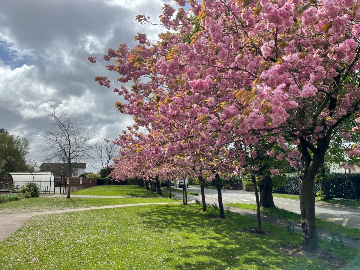 Wonderful to welcome all our children and families back to the start of the summer term. The sun may not have put in an appearance but the beautiful blossom on the trees is a lovely welcome back.