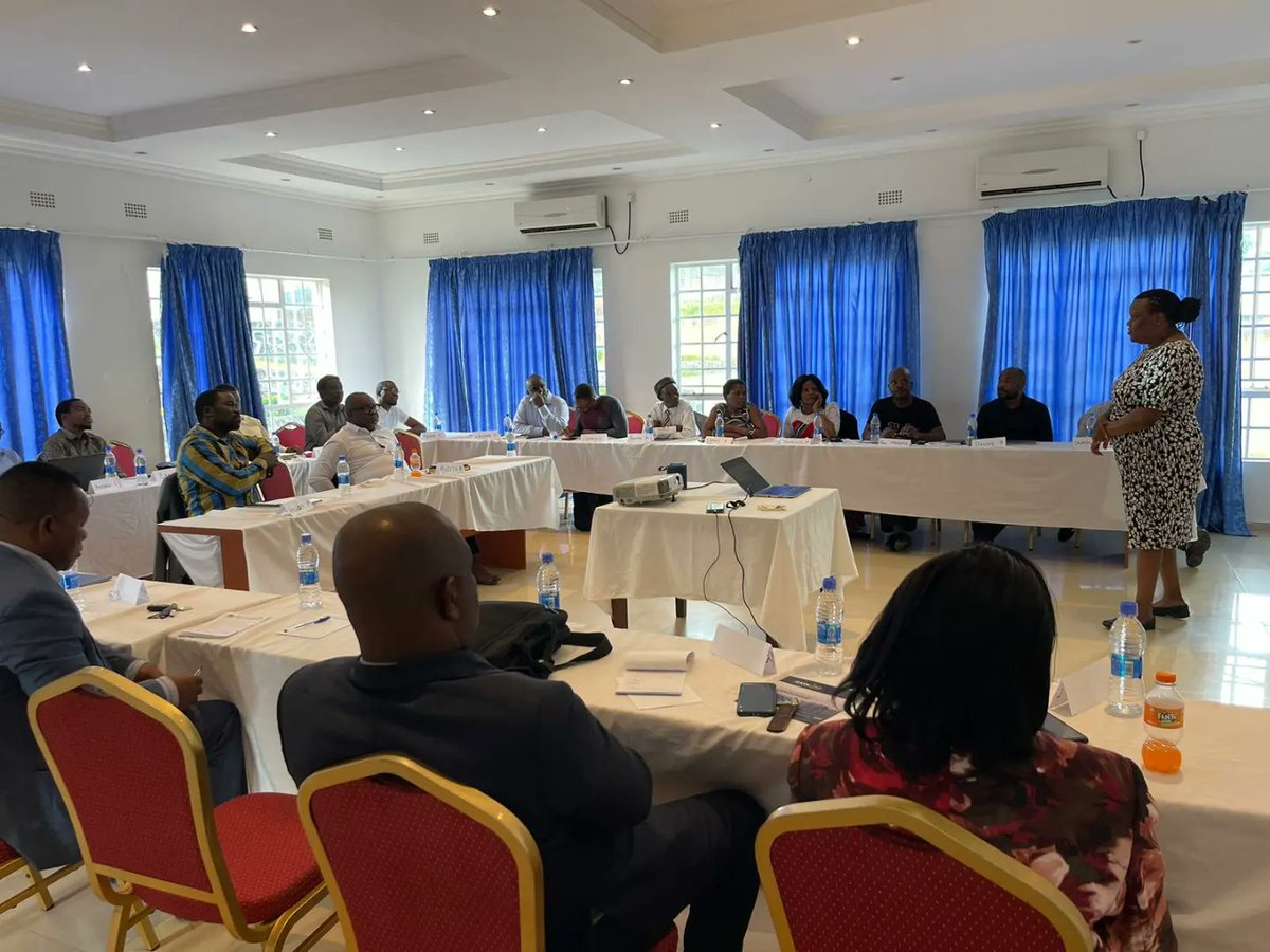 The Catalead tweet media