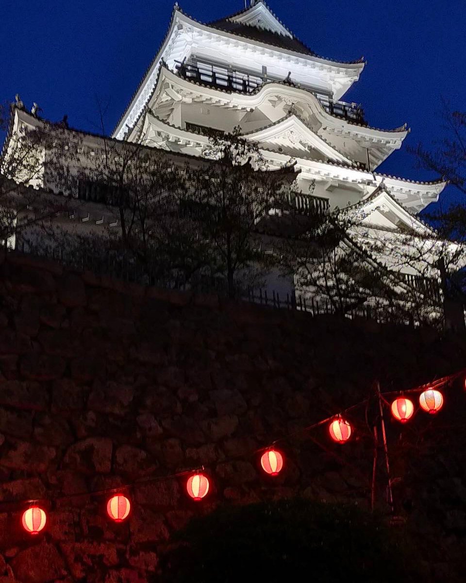 Bluestone_blues's tweet photo. 【Fukuyama Castle 🏯 + SAKURA🌸】

福山城と桜
美しい🎶

#cherryblossoms 
#fukuyamacastle 

#neckstrap #brettchenweben #tabletweaving #cardweaving #madeinjapan #fukuyama #castle #cherryblossom 

#カード織り #ネックストラップ #城 #城好き #福山城 #桜 #花見 https://t.co/CAQ0uGk1cH
