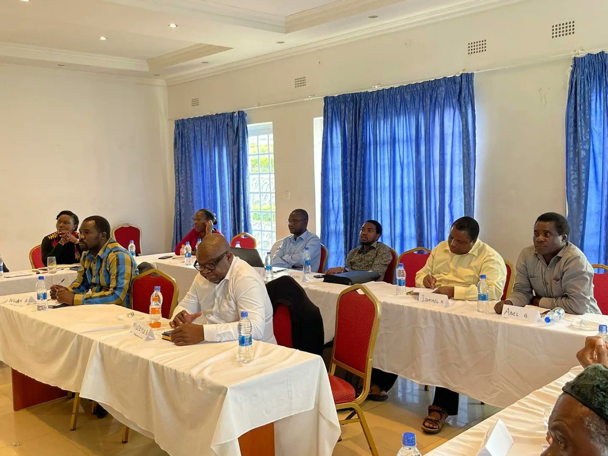 The Catalead tweet media