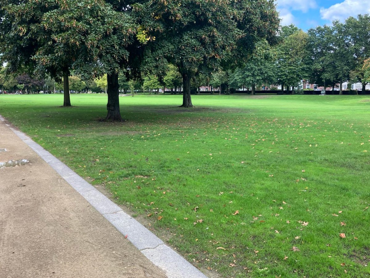 Duurzaam groen met Microclover in #Venlo! 🌿🌟 De gemeente maakt slim gebruik van #Microclover om een sterk, duurzaam gazon te realiseren dat klaar is voor elk festival. 

Lees hier meer over de ervaring van de gemeente Venlo met Microclover 👇

dlf.nl/nieuws/artikel…