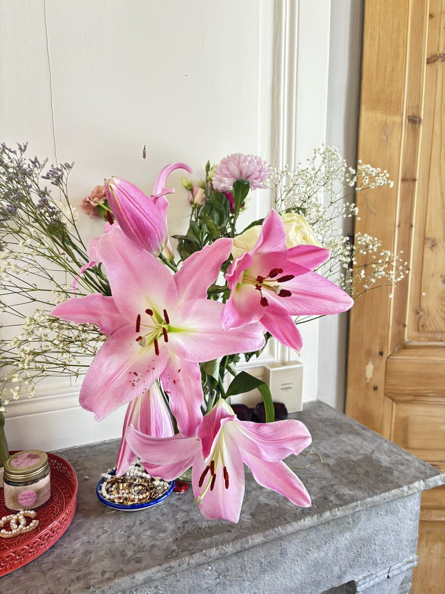 clh_ml's tweet photo. Il est trop le bouquet qu’il pense être https://t.co/qSDmw5NJ2K