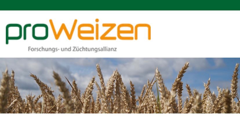 WheatInitiative's tweet photo. Looking forward to seeing you at the #proWeizen workshop tomorrow!
Our Associated Program @ahead_wheat will be joining in as well!
https://t.co/rnQfw61Iqt https://t.co/bmFhQbpRuC