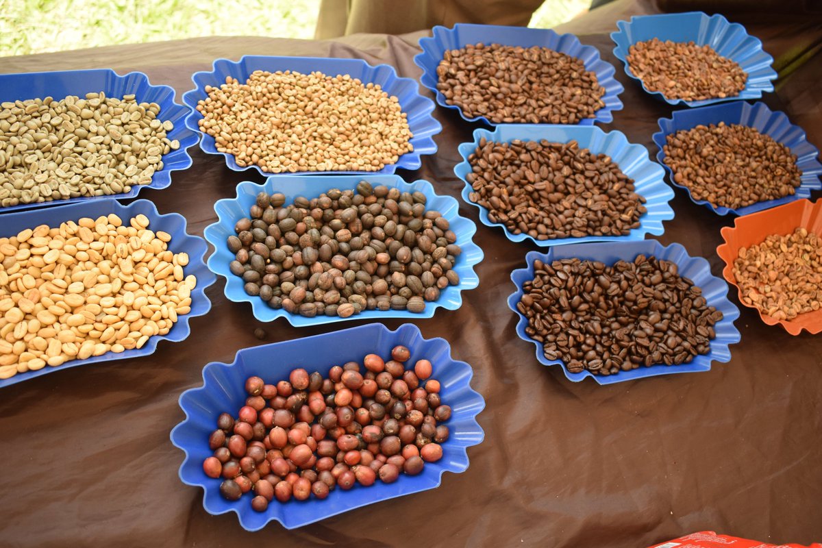 Nkunda Ricky tweet media