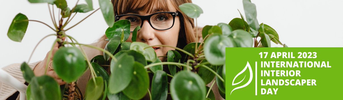 plants_atwork's tweet photo. On Wednesday we will be celebrating International #InteriorLandscaperDay here are some ideas how to make this day special #IILD https://t.co/E73aqNLSAH https://t.co/jGnQ4o70b0