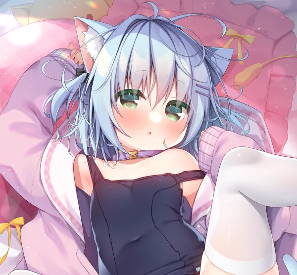 コミ1新刊の予約が始まっておりました!どうぞよろしくお願いいたします 