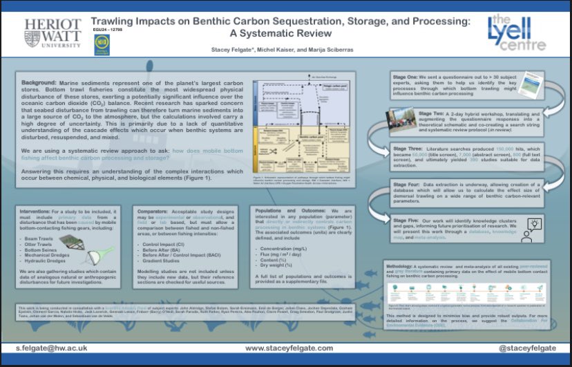 Dr. Stacey Felgate tweet media