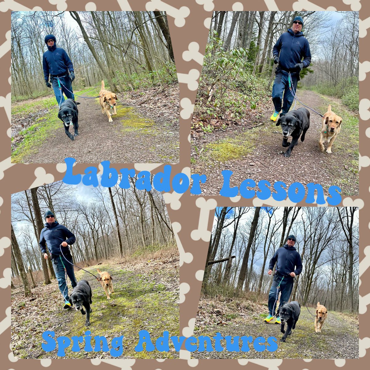 FitLabDeepCreek's tweet photo. #LabradorLessons from #FitLabPGH (link below): Include your dogs in your #Spring2024 #movement adventures (and your Summer adventures…and Fall adventures…)
#GetOutside #TrailDogs #SmartDogs #MoveMore #JustMove
https://t.co/twS718fIJm https://t.co/JdRcuJnTYe