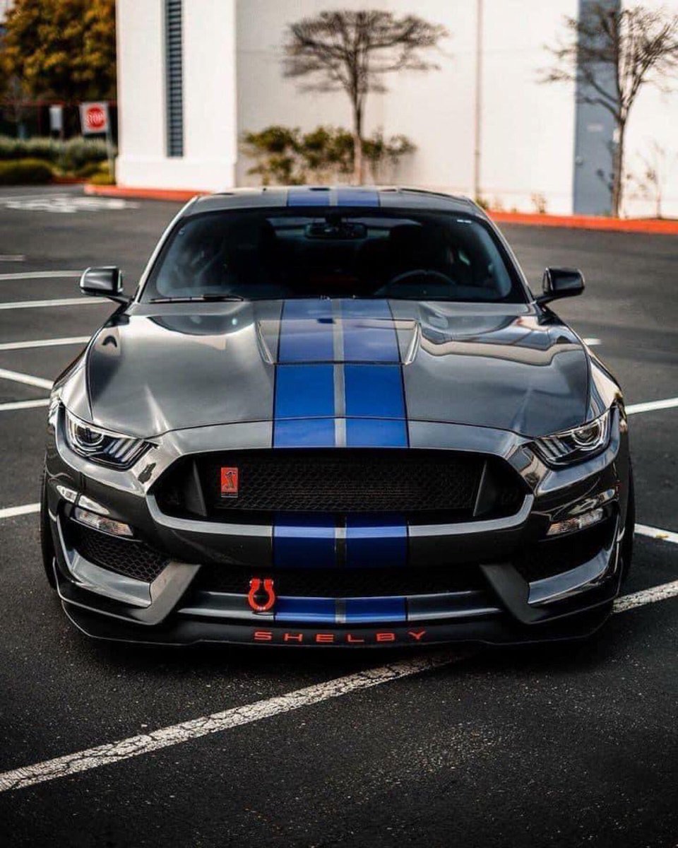 “ Mustang Monday “   🩶💙🩶