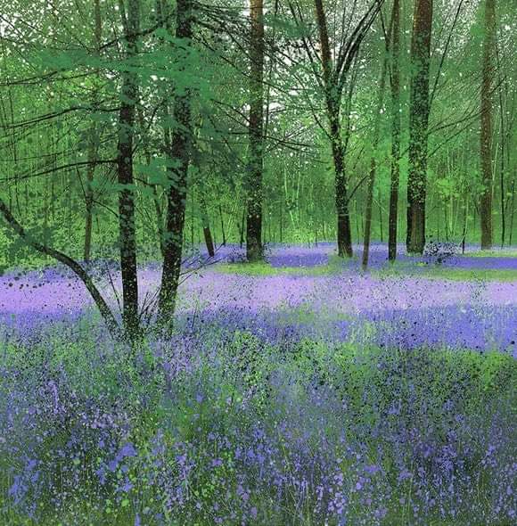 Birdcall and Bluebells #PaulEvans