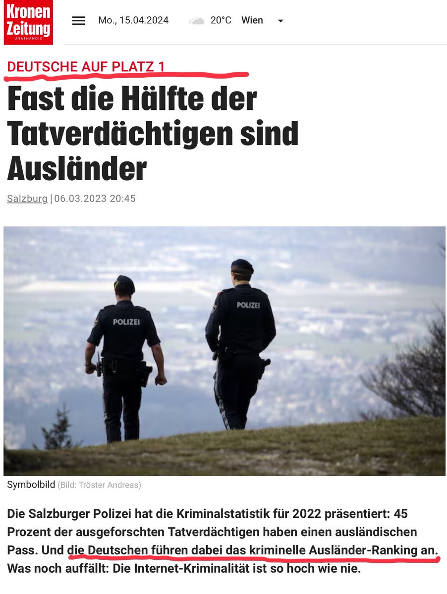 „Spitzenreiter unter den ausländischen Kriminellen ist Deutschland, gefolgt von Rumänien und Bosnien-Herzegowina.“ - Ein Blick auf Ausländerkriminalität aus österreichischer Perspektive
