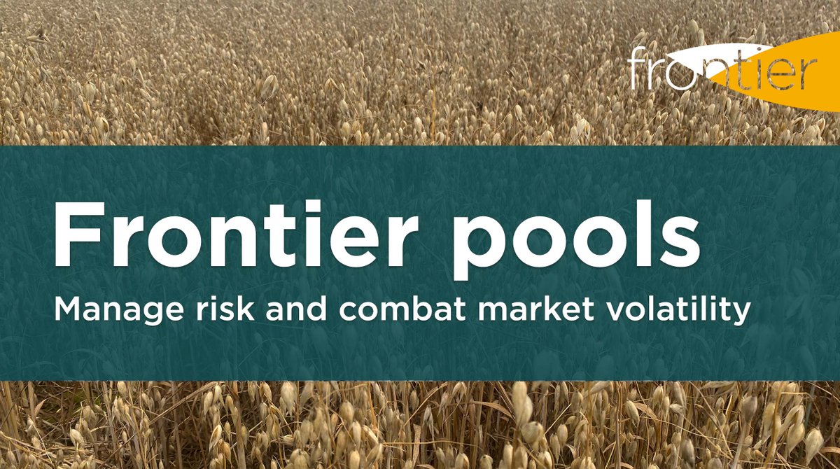 Carrying out your own regular #grainmarket analysis may not always be possible. Opting for the Frontier pools can help – our dedicated trading team monitor global markets daily on behalf of our customers. Learn more about pool opportunities for 2024/25: bit.ly/333lYYe