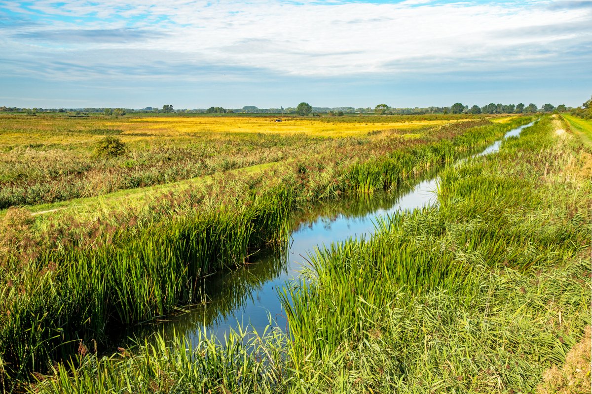 #NTjobs We're looking for a Project Officer to join the team at Wicken Fen. You'll be supporting the production and delivery of a project pipeline, focusing on access, peatland restoration, hydrology and habitat development. More details: bit.ly/WF-project-off… 📸NT/Mike Selby