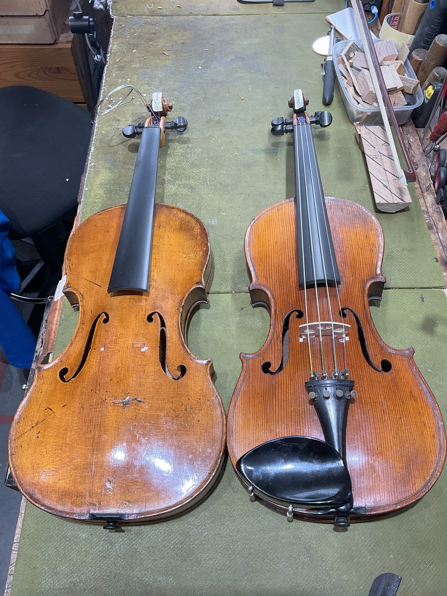 Tung is cleaning and putting new bridges onto these two customer violins. One has slightly unusual measurements and construction. It’s longer than a standard size and has no top block. Instead, the neck is fixed with glue to the back and ribs. #lutherie #violins #workshop
