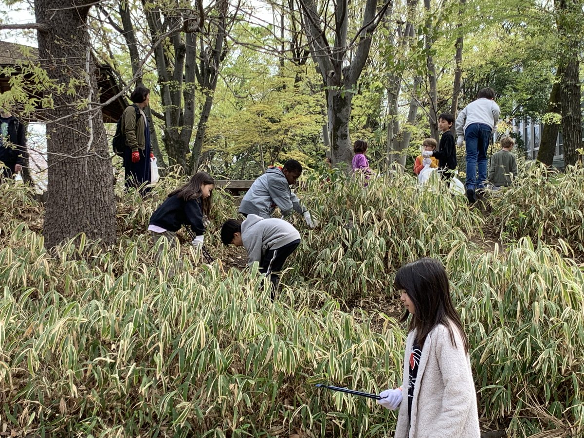 NOTRE « #ECOLEECO » - #NETTOYAGEDEQUARTIER Quand le #LFITokyo s'engage pour son quartier - #Takinogawa -, c'est tout un #écosystème qui respire mieux. Une #leçon de #citoyenneté au cœur de la #nature pour les CE2C et CM2E sous un #soleilprintanier🌸🌞 @aefeinfo @fltfapee