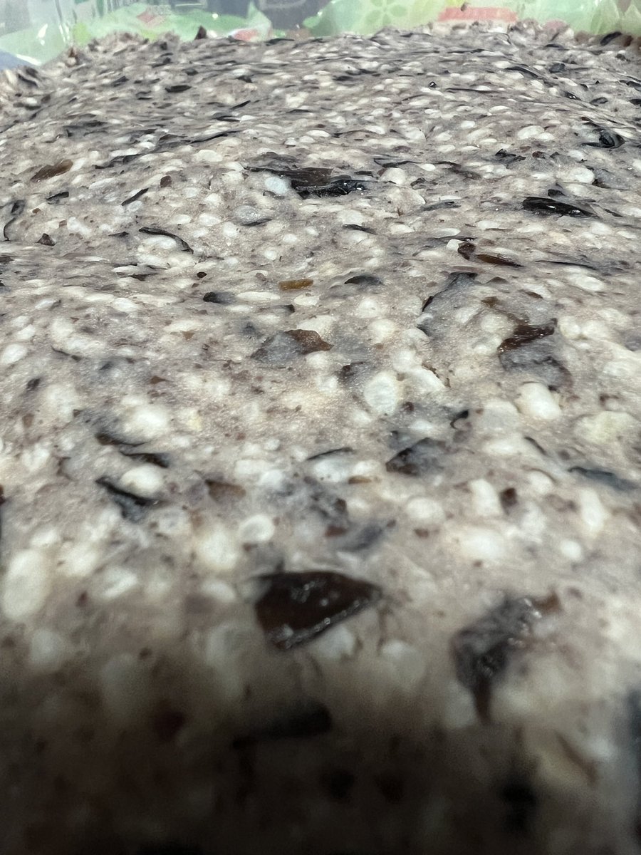 尾道のコロ tweet media