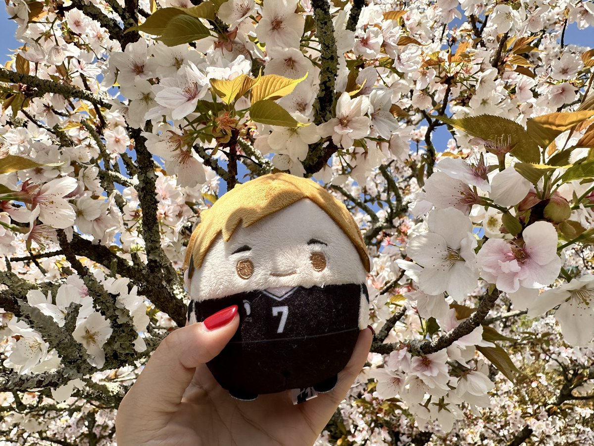 「一泊二日で母と2人京都旅行してきたー!天気にも恵まれて、桜も満喫できたし、食べた」|ちゅんたろのイラスト