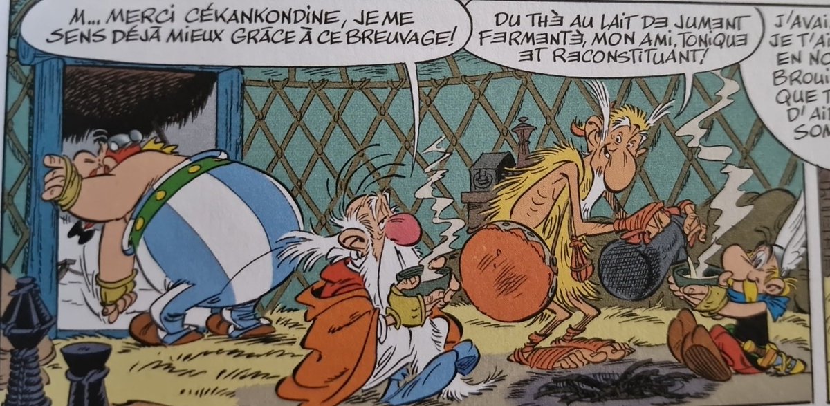 Ich liebe Astérix und Obelix auf Französisch. Die Namen der Figuren sind köstlich. 😂🤪 Künstler hatten wohl mehr als einen Lachanfall beim Schreiben. 🤣🤣