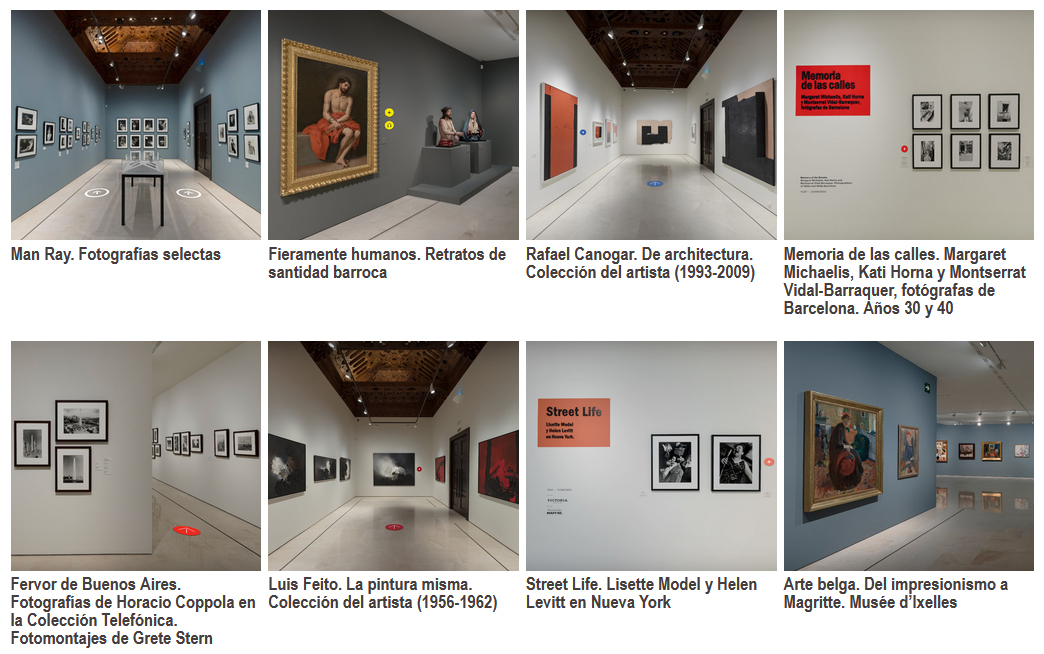 thyssenmalaga's tweet photo. Hoy celebramos el #DíaMundialDelArte recordando el más de medio centenar de exposiciones temporales que han pasado por el Museo, a las que se puede acceder realizando una #VisitaVirtual por sus salas de exposición.

🔎https://t.co/q8gB02S2DX https://t.co/0t4wJJOXwi