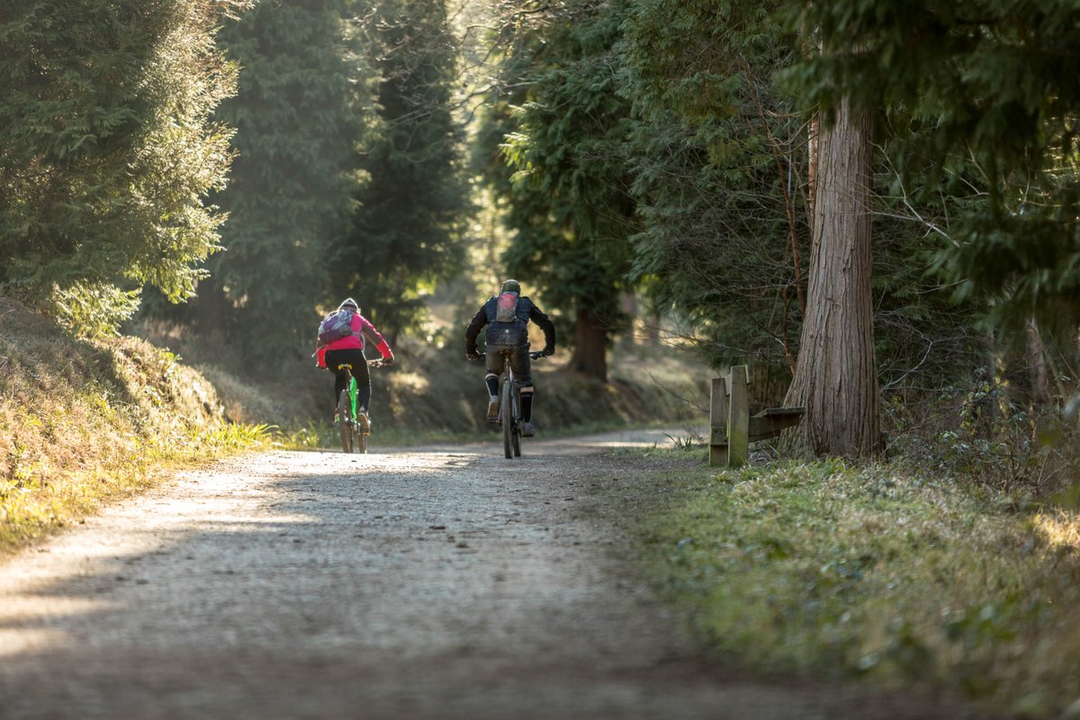 We’re giving away prizes! 🎉 Have you been strolling through our amazing tree collection, training on our running and cycling trails or joining a weekly fitness activity? Tell us about your adventures to win prizes👉forestryengland.uk/active-forests…