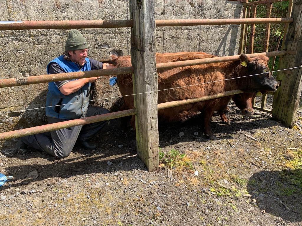 RossHamiltonG's tweet photo. Came across this pic today, from a will ago.. 

Not much you can say tbf! Fairplay John! 

#AgIE #Dexter https://t.co/H1to7oepbO