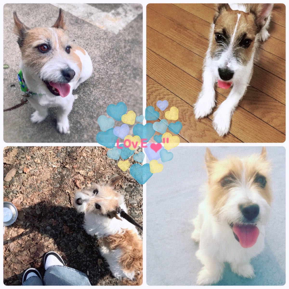 graph* handmade｜ꜰʀɪ(ᴇɴᴅ)ꜱ Ⓥ on X