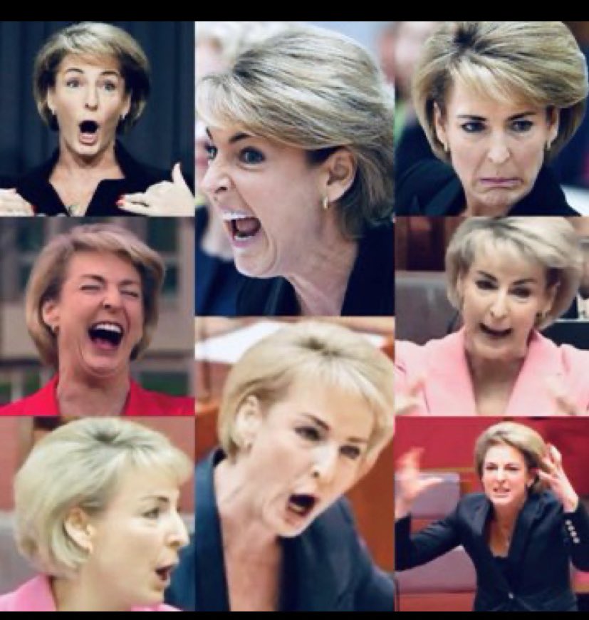 Who in this pack of deplorables lied &threw Ms Higgins to the wolves Which ones were part of the Bruce, the rapist Lehrman protection club Which harridan thought moving BH 3000 km to Perth was right? Who cleaned the sofa? Who is chasing BH to France for money? #auspol #lnplie