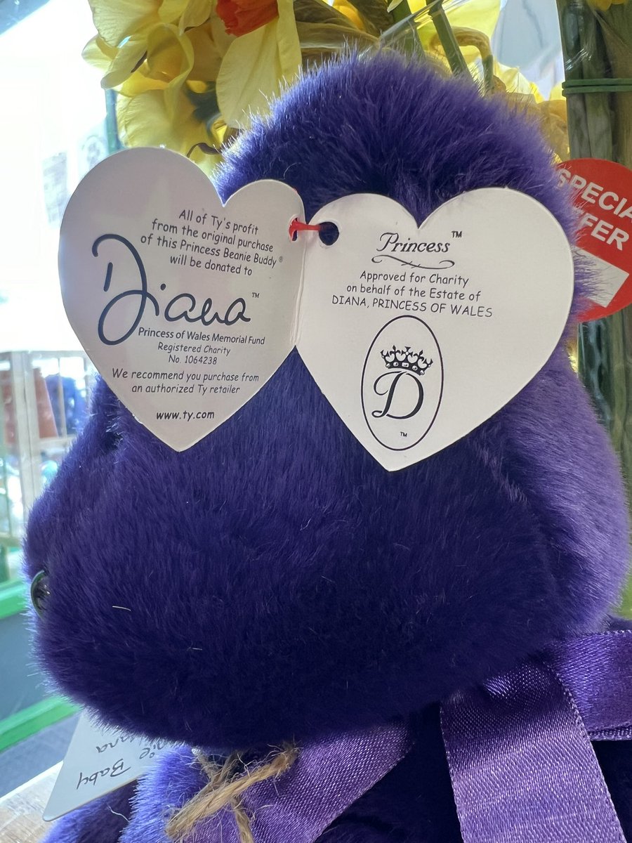 Ty Beanie Baby Princess Diana 1998 🧸💜

£30 

#tybeaniebaby #beaniebaby #PrincessDiana #newin #charity #charityshop #Edinburgh