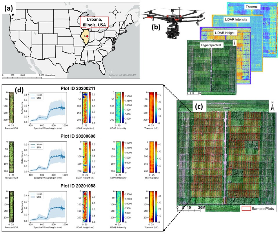 UAV Multisensory Data Fusion and Multi-Task Deep Learning for High-Throughput Maize Phenotyping
mdpi.com/1424-8220/23/4…
@TaylorGeoSTL @SLU_Official @UCentralMO @UofIllinois
#UAV #DataFusion #MultiTask #DeepLearning #HighThroughputPhenotyping #Hyperspectral #LiDAR #GeoAI
