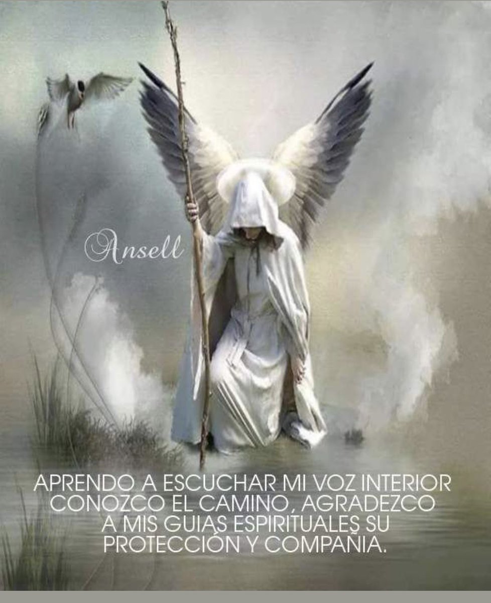 Gracias! Gracias! Gracias!
