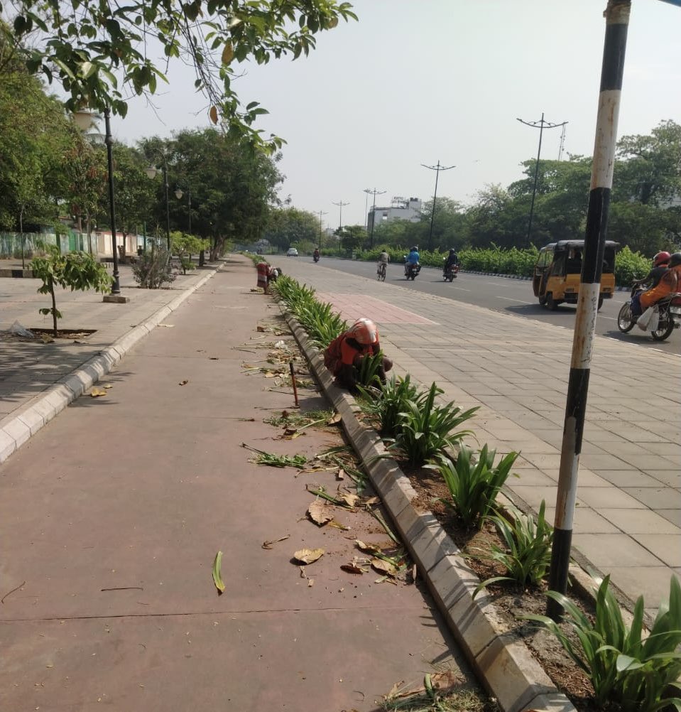 City medians and landscaping are routinely maintained by having trees trimmed, garbage picked up, bushes clipped, and plants replaced. 
#BhubaneswarFirst