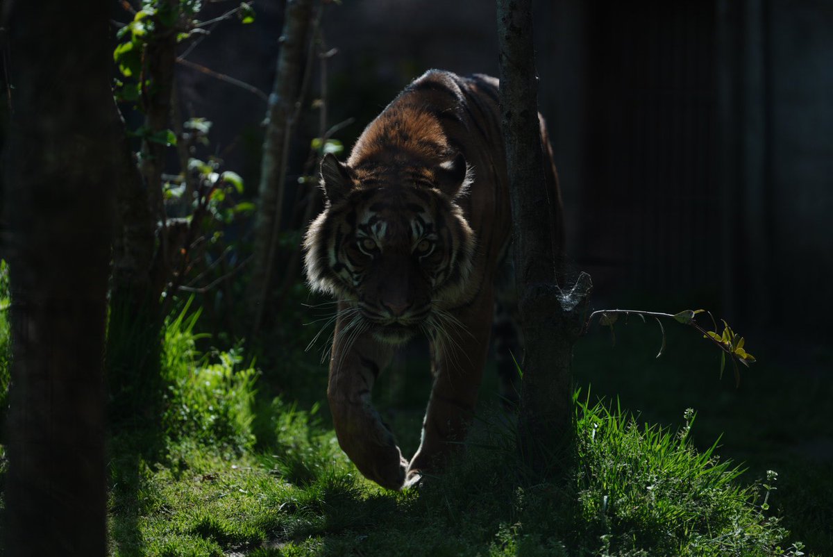 SnFarmer's tweet photo. 動物園って楽しい😚 https://t.co/oWR0Whs7cn