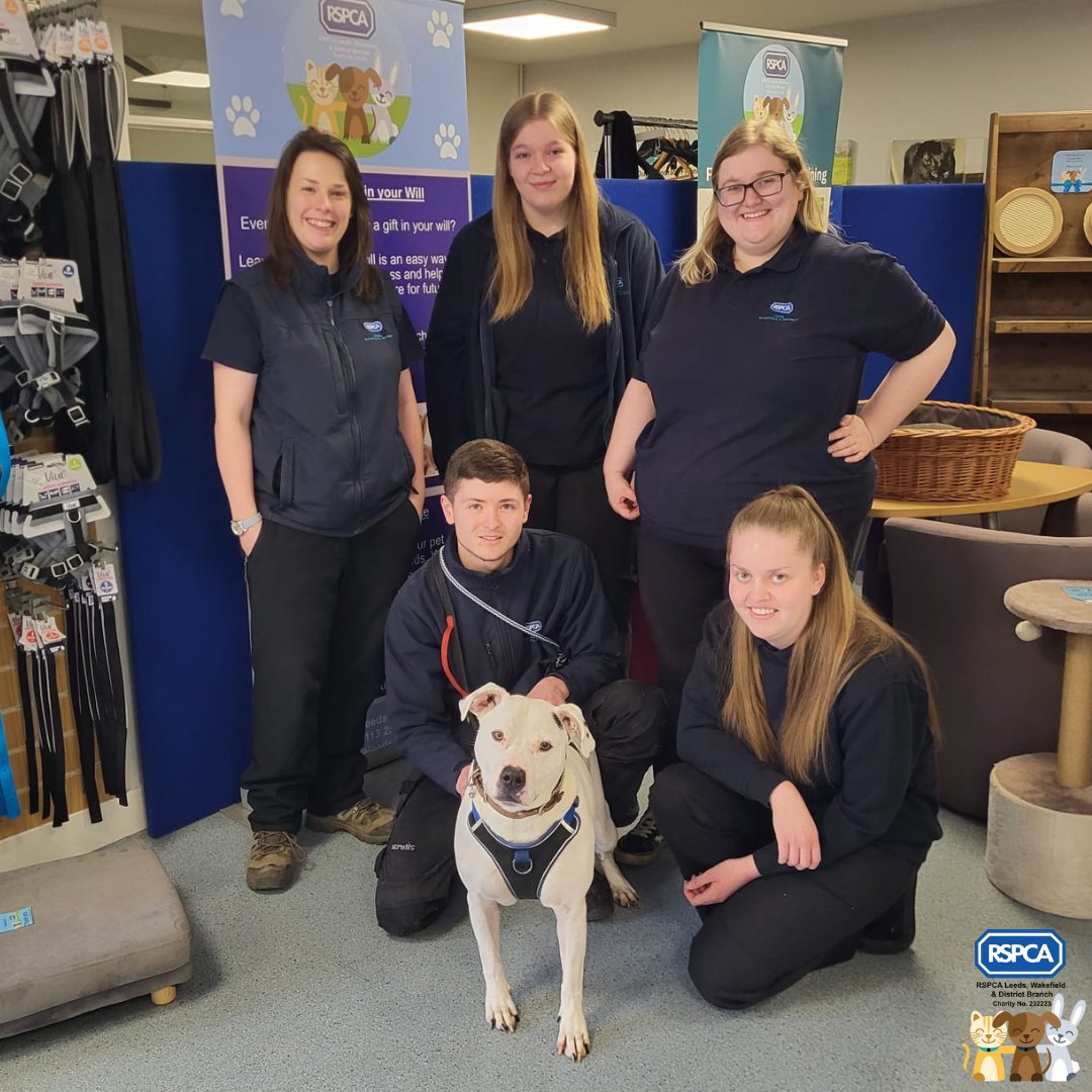 The good news you've all been waiting for... 🏠After spending 533 days at our centre, Zeus was adopted on Saturday and left to go to his perfect forever home! 💙Thank you to everyone who has shared our posts to help find Zeus his new home, we are so grateful for your support.