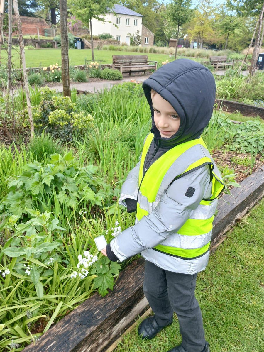 🌳🍂 Year 1 Tiger Shark Class had a wonderful morning exploring Beckenham Place Park! 🧭 They dived into geography learning about the seasons 🌷☀️🍁❄️. Observing nature's changes up close was the perfect way to bring their lessons to life! 🐾