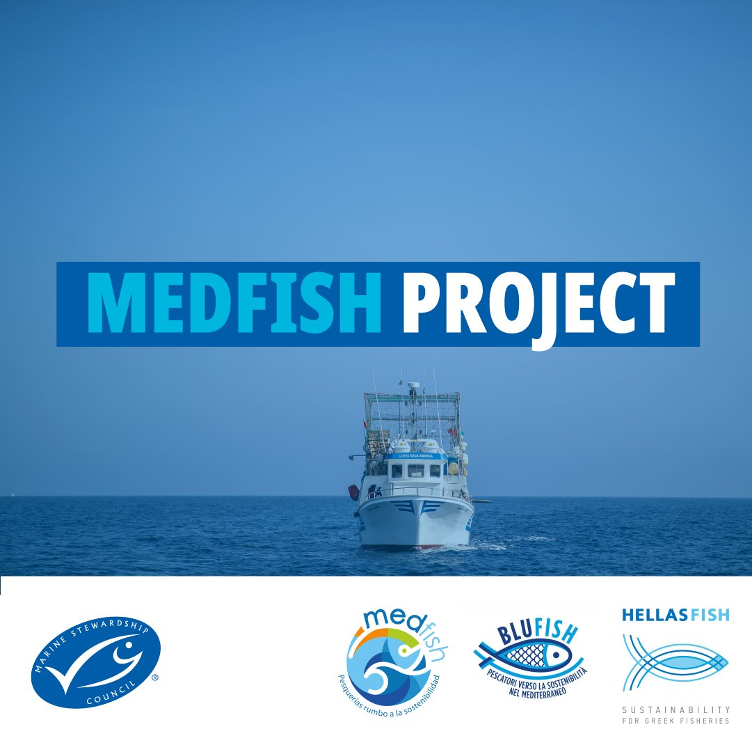 MSCenEspana's tweet image. 🎣 🎣 #MedPath ¿Sabías que el Proyecto #Medfish mapeó 100 pesquerías en España y Francia? Descubre cómo se está impulsando la #Sostenibilidad en el #Mediterraneo
📰🔗 bit.ly/3TJzcVI
#BluFish #HellasFish #SelloAzul #PescaSostenible #MaresParaSiempre