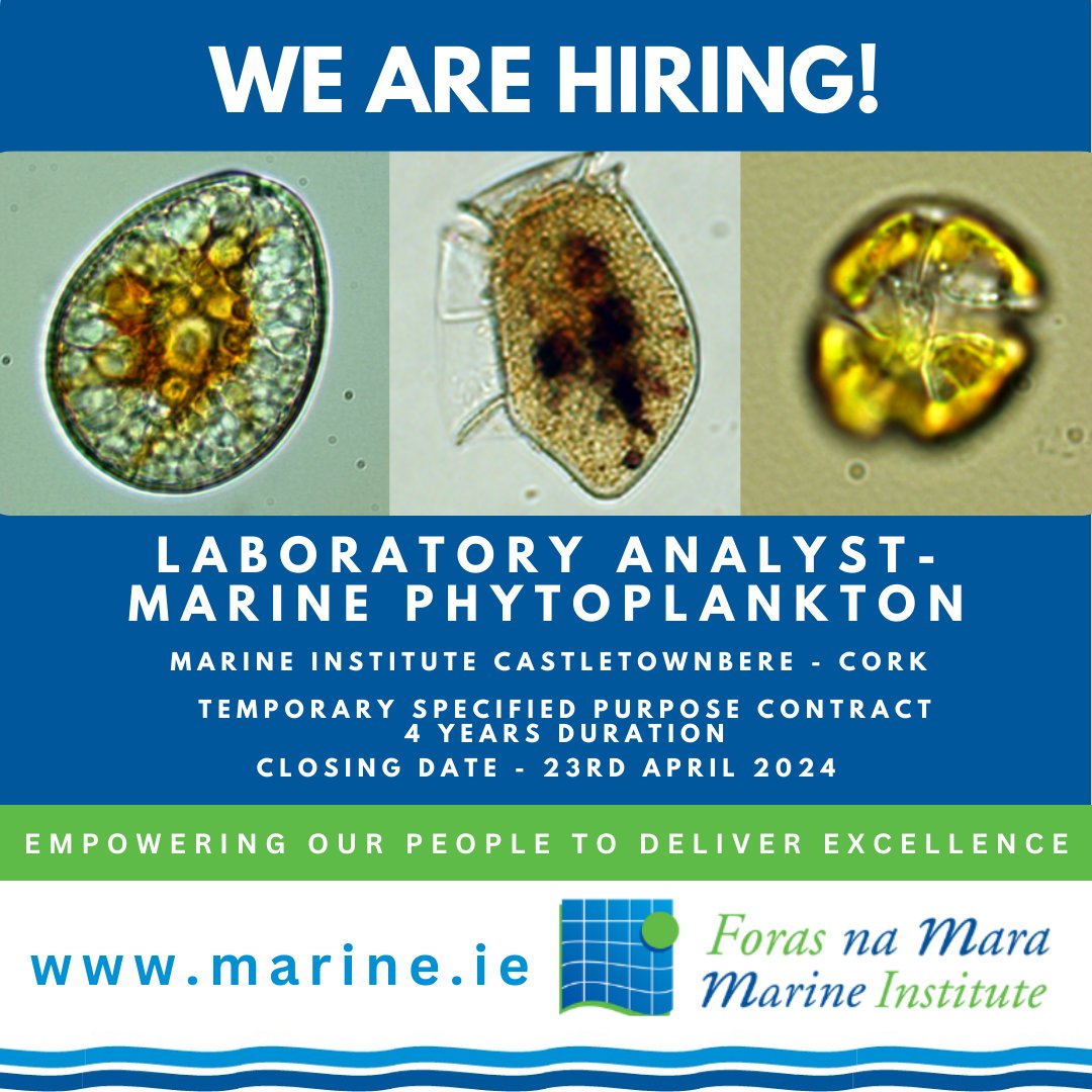 🛑JOB OPPORTUNITY - Lab Analyst - Phytoplankton Working as part of the Shellfish Safety Unit Team. Based in Castletownbere, Co.Cork Full job description - bit.ly/3xCsr0q 📅The closing date is 12pm, 23rd April. #Marine #Lab #FishHealth #Phytoplankton