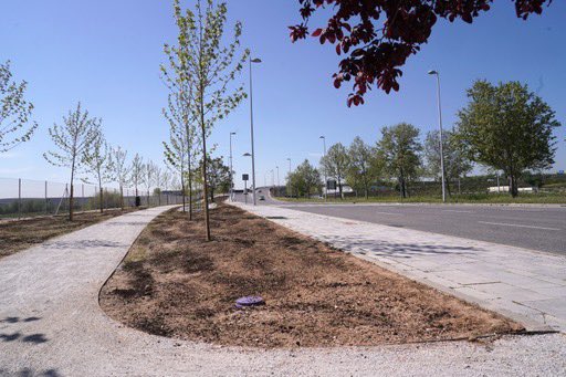 Inma Sanz Otero tweet media