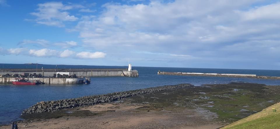 paulrogers11's tweet photo. Eyemouth is an absolute Jewel 💎 in the Northumberland coastline …. The Italian 🇮🇹 Gelato 🍧 in the Harbour is absolutely delicious and Magnificent https://t.co/8zp0Zytu4g
