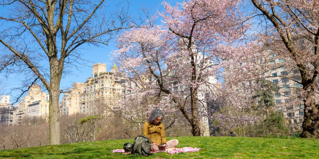 CentralParkNYC tweet picture