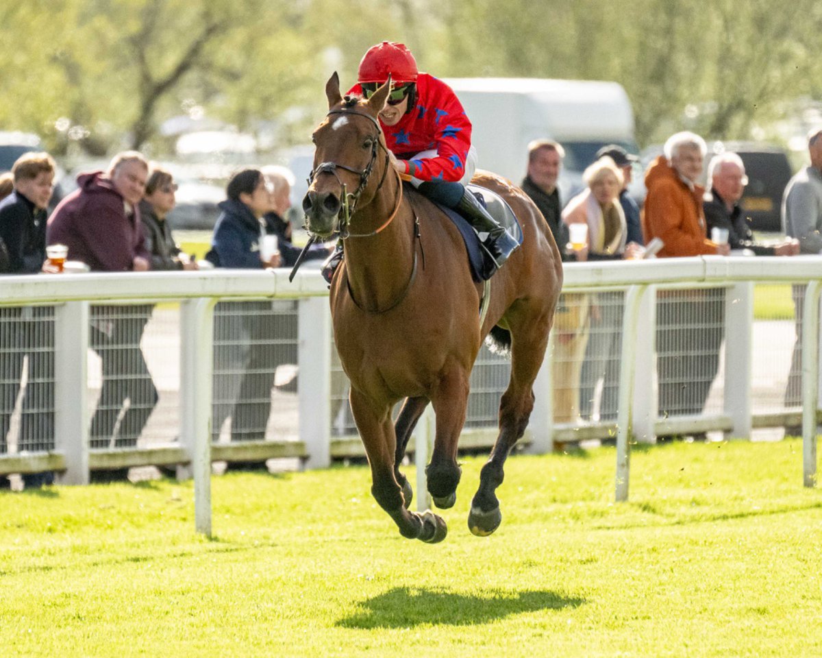 Race 6 Result - The Irish Night 10th June Windsor Racecourse Handicap Stakes 🏆 Perseverants Jockey: @phillip_dennis Trainer: @ScottPJDixon Owner: Ryan, Chappell & Dixon