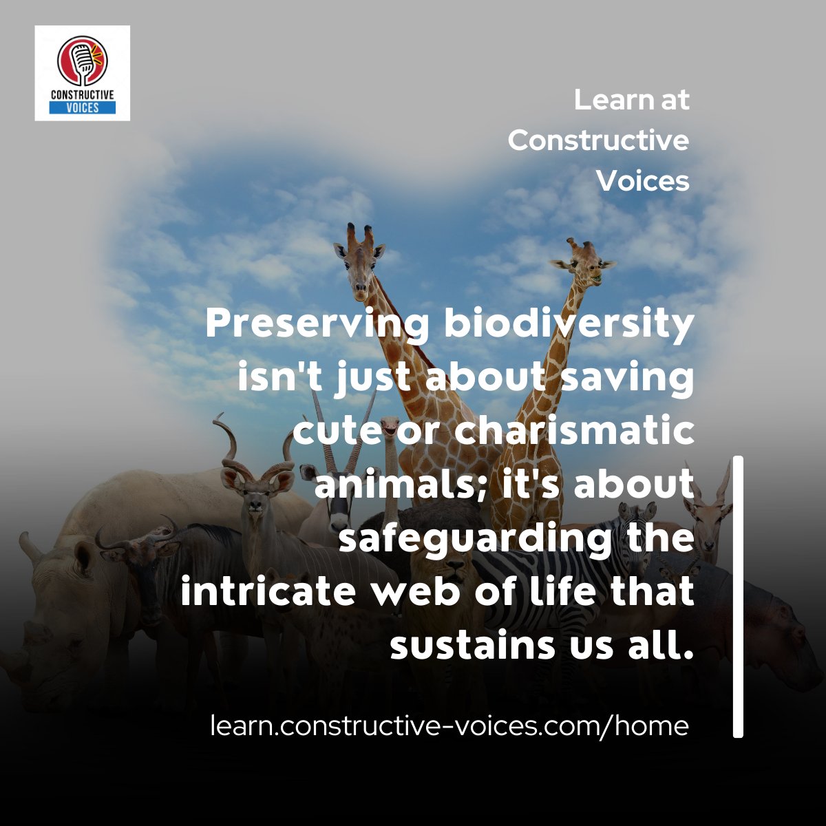 'Preserving biodiversity isn't just about saving cute or charismatic animals; it's about safeguarding the intricate web of life that sustains us all.' #biodiversity #biodiversitynetgain #training - learn.constructive-voices.com/home/