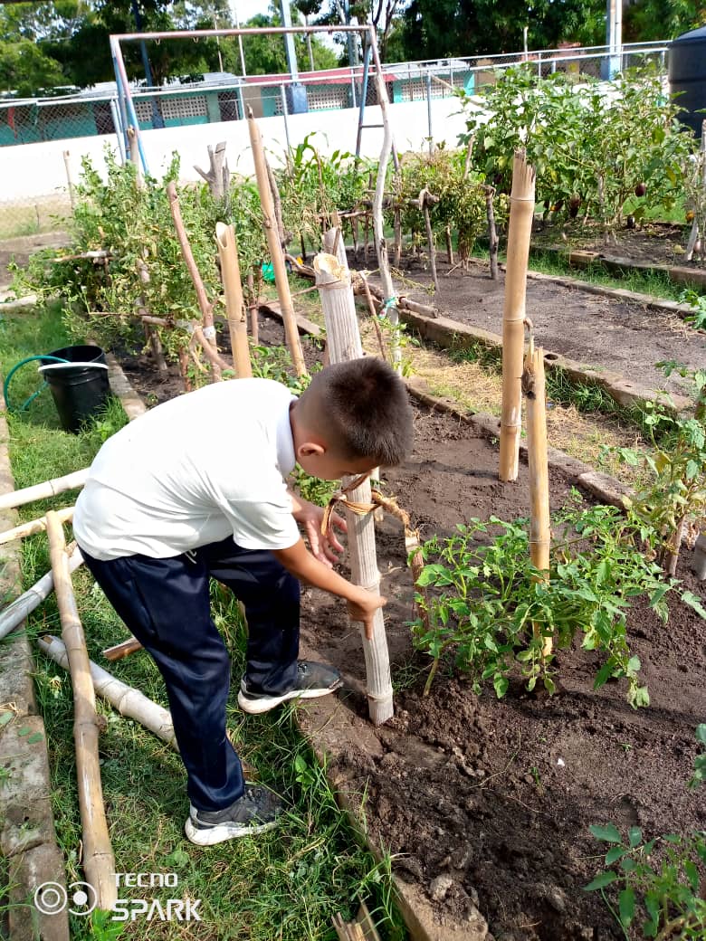 Juntos Somos más que Vencedores 15 años Sembrando en los corazones 
<a href="/NicolasMaduro/">Nicolás Maduro</a> <a href="/_LaAvanzadora/">Yelitze Santaella</a> <a href="/jhoagaby/">Jhoanna G Carrillo M</a> @MPPEDUCACION <a href="/CDCEZULIA/">Centro de Desarrollo de la Calidad Educativa Zulia</a> <a href="/ceupzulia/">Comunidades Educativas y Proyectos Productivos</a>