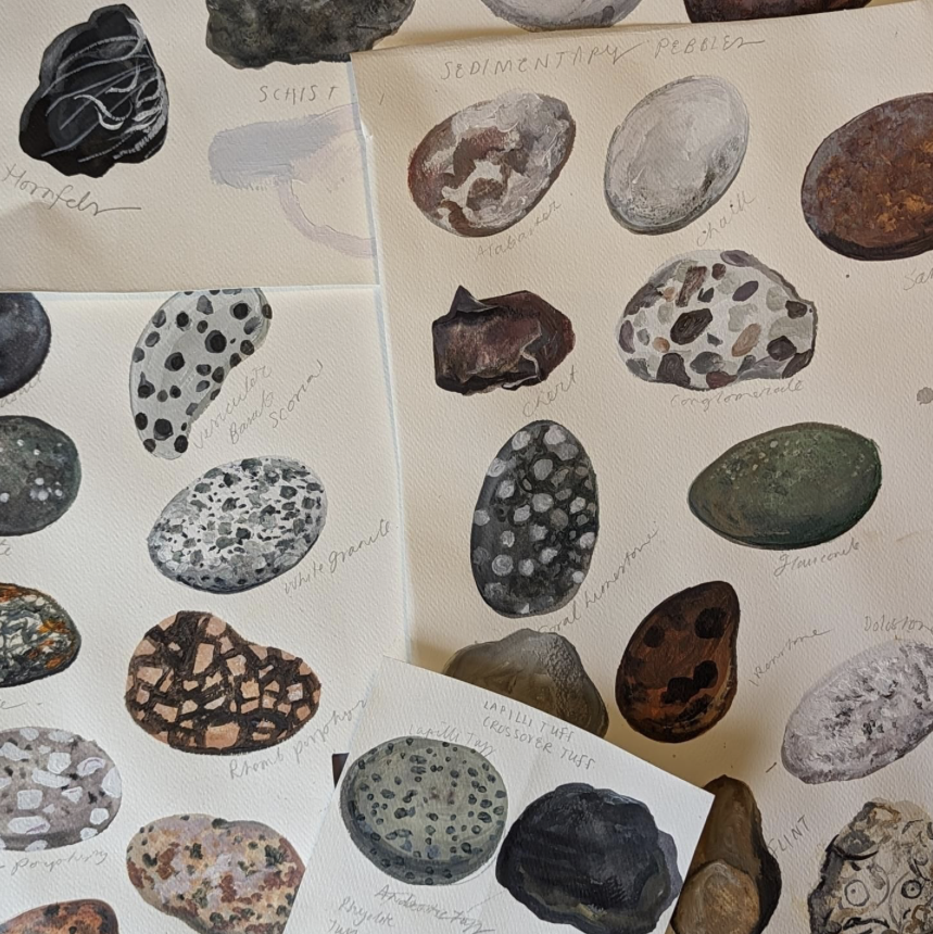 Lizzie Spikes tweet media