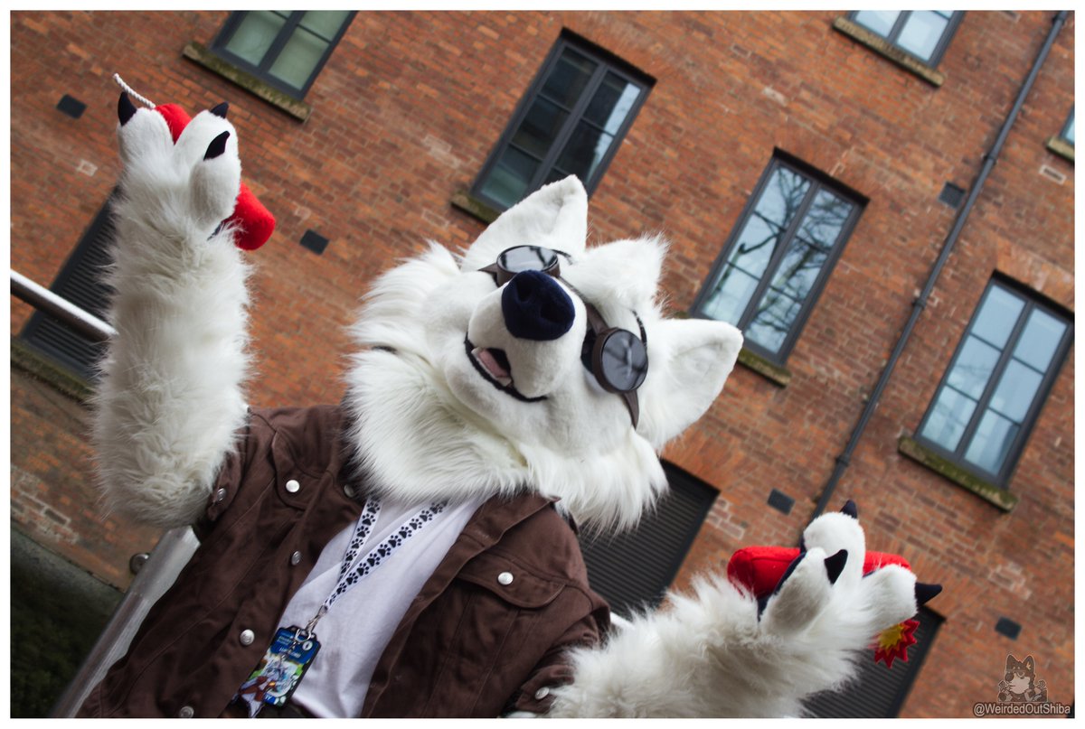 I think this wolf is going through his villain arc. #furry #fursuit #furries #furryfandom 🐺: This Wolf is owned by @Lupe_Kord ✂️: Made by @GoFurItstudios 📍: location @MancFurs 📸: Taken by @WeirdedOutShiba (Ie me)