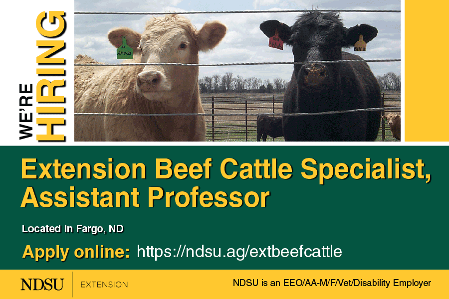 Come join our team! NDSU Animal Sciences is hiring an Extension Beef Cattle Specialist, Assistant Professor. Apply at ndsu.ag/extbeefcattle