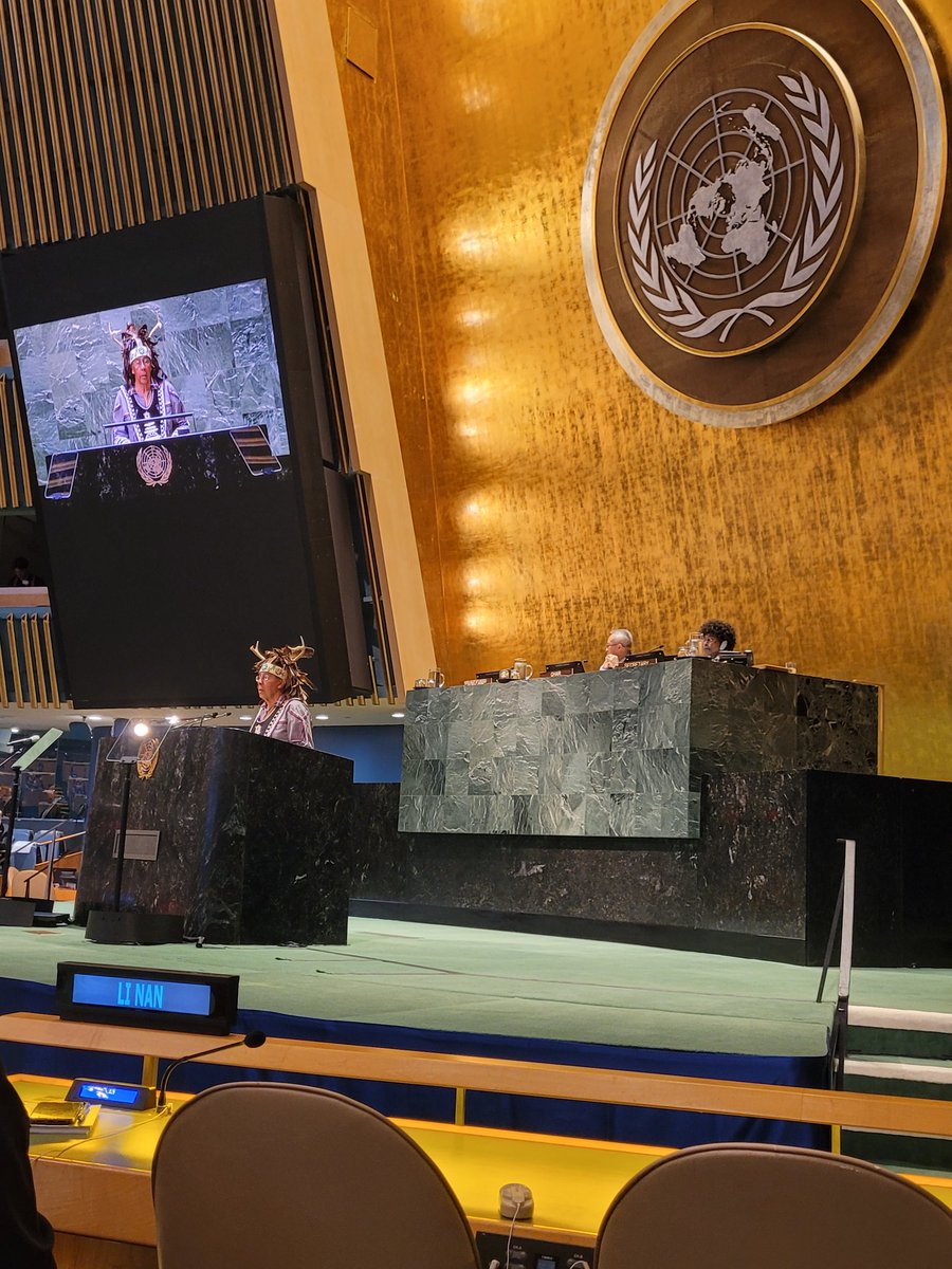 The UNPFII 23rd session Opening with a Ceremonial welcome by traditional Chief of the Onondaga Nation, Tadodaho Sid Hill
bit.ly/docip-pfii23-en 
#UNPFII #IndigenousRights